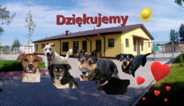 schronisko dla bezdomnych zwierąt w Puławach.png